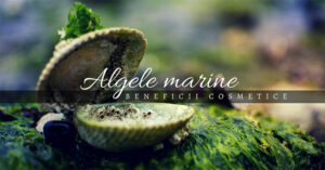 Read more about the article Algele marine – beneficii cosmetice
