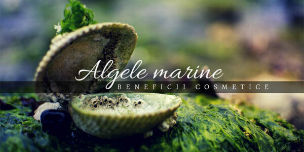 Algele marine – beneficii cosmetice