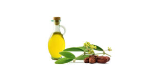 Read more about the article Ulei de jojoba