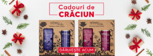 Read more about the article Cadouri de Crăciun