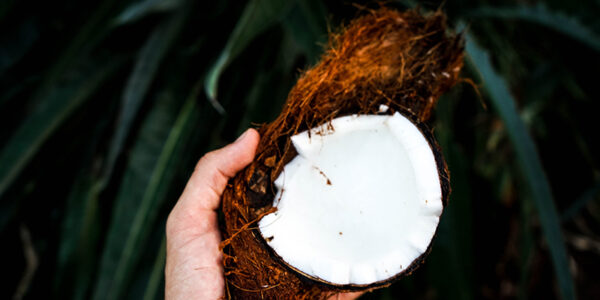 Beneficii şi întrebuinţări ale uleiului de cocos